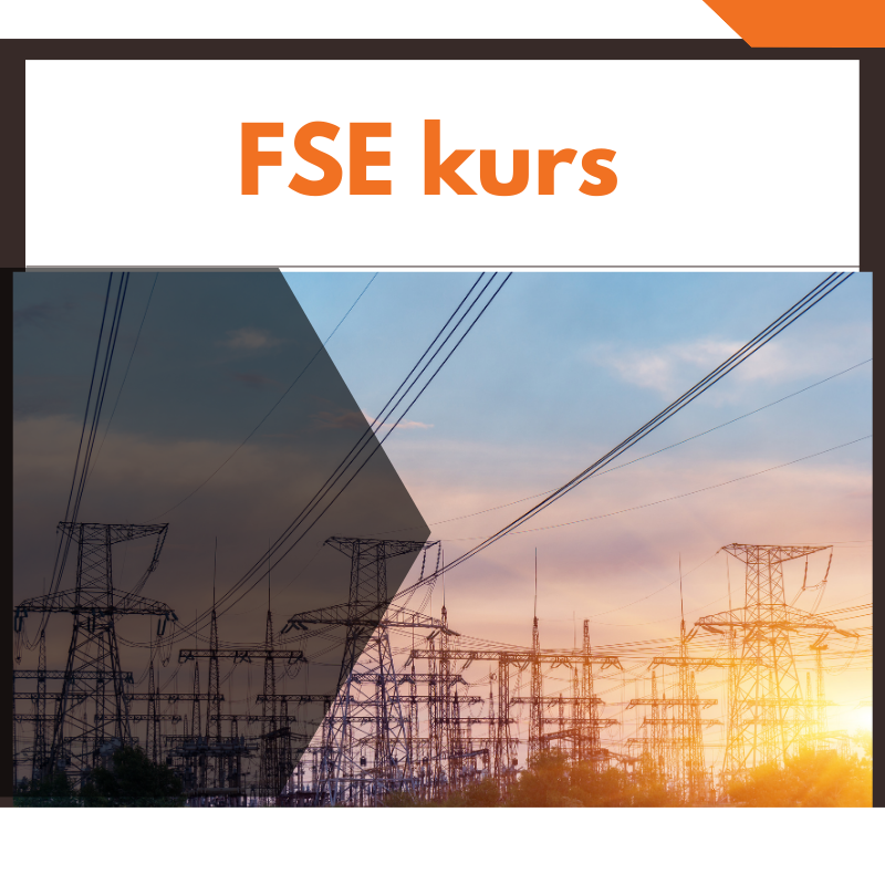 Kurs i FSE